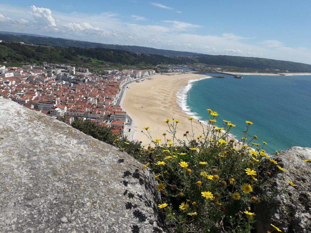 Aconchego Local Nazare